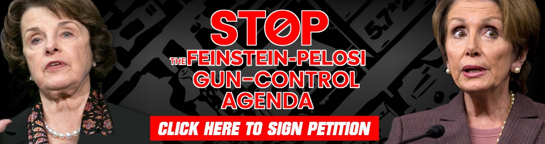 minnesota meltdown gun law minnesota meltdown gun law