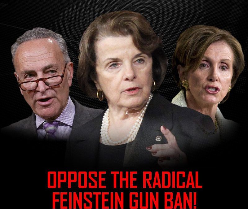 Assault Weapons Ban Gaining Ground!