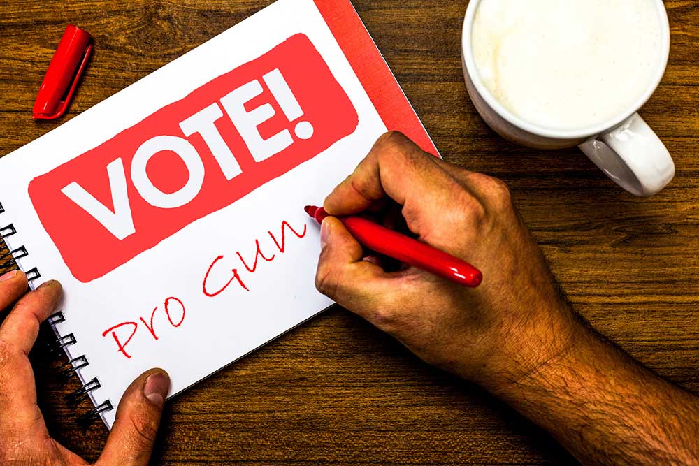 VOTE PRO-GUN TODAY!