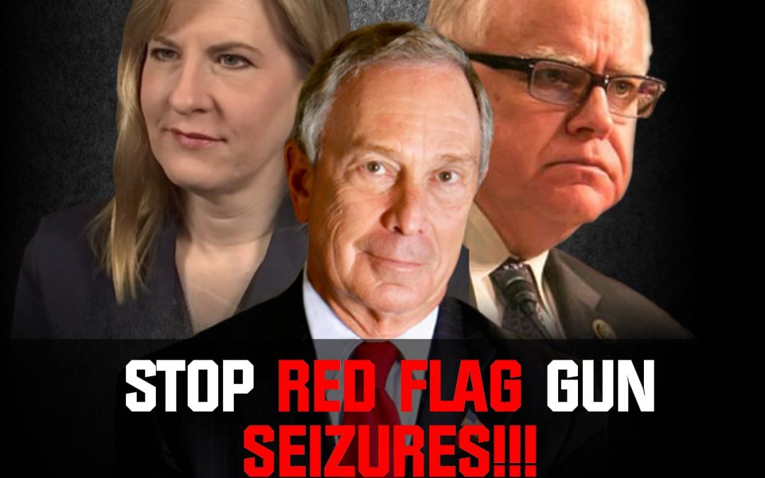 Red Flag Gun Seizures Introduced in St Paul