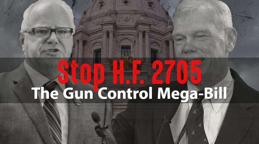 MEGA Gun Control Bill in St Paul