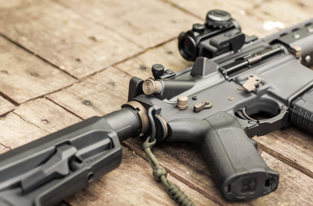 Tell Your St Paul Politicians NO Gun Control in 2025!
