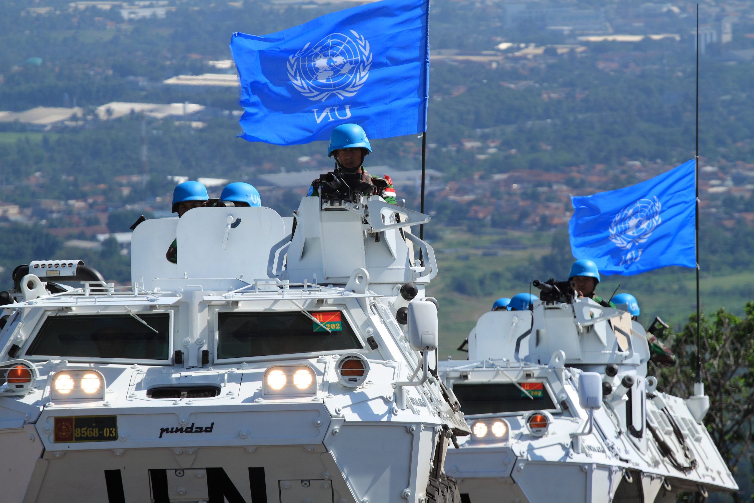 Help Us Crush the UN Small Arms Treaty!
