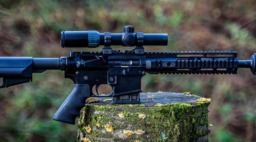 Help Us STOP the Rifle and Mag Ban!