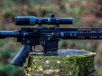 Help Us STOP the Rifle and Mag Ban!