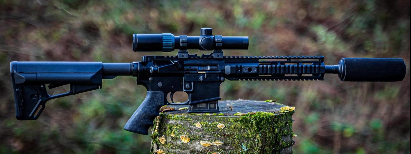 Help Us STOP the Rifle and Mag Ban!